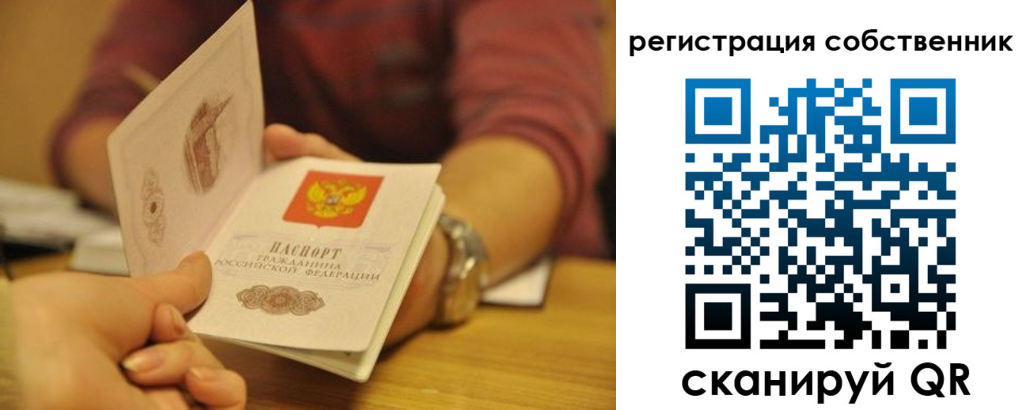 временная регистрация поиск в Лесном